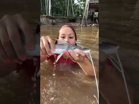 Pegando peixe