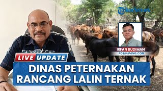 Aturan Lalu Lintas Terbaru oleh Dinas Peternakan Sumba Timur, Pengiriman Ternak Antar Pulau Diawasi
