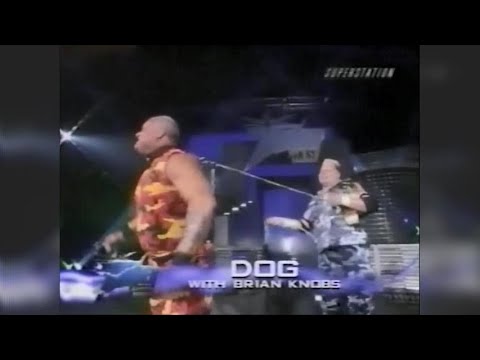 The CAT vs The DOG - Only in WCW!
