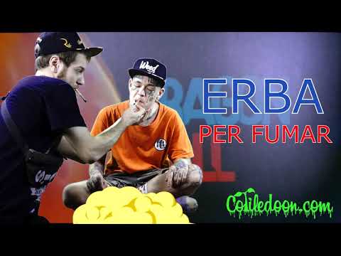 RASTACHAI - 🌱ERBA X FUMAR🌱 (Versió Bola De Drac) // Cotiledoon Indoor Sessions BONUS