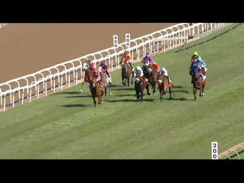 2021.07.03 Hollywoodbets 2200 (RSA) - Shango