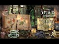 Botanical Magic Ambience Green Witchcraft In Spring Witch ASMR And Magical Sounds