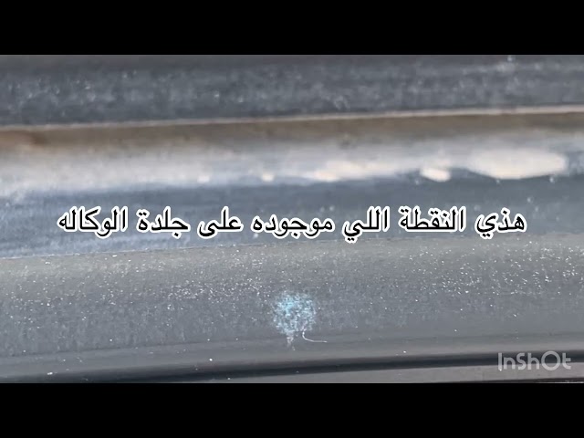ربلة البانوراما