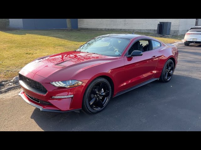 2021 FORD MUSTANG For Sale