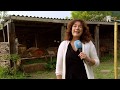 Rijnmond in 5 minuten: vrijdag 17 mei
