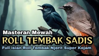 Download lagu ROLL TEMBAK SADIS‼️Masteran Full isian Roll Tembak Njerit Super Kejam.#masteranburung. mp3 Download lagu ROLL TEMBAK SADIS‼️Masteran Full isian Roll Tembak Njerit Super Kejam.#masteranburung. mp3