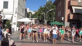 preview picture of video 'Flashmob San Vincenzo'