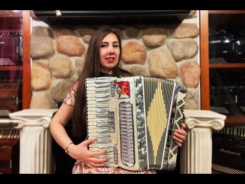 6223 - Silver Nobility Piano Accordion LM 41 120 image 2