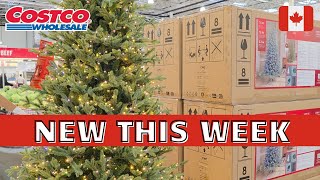 Must-Buy FINDS at Costco | COSTCO CANADA Shopping