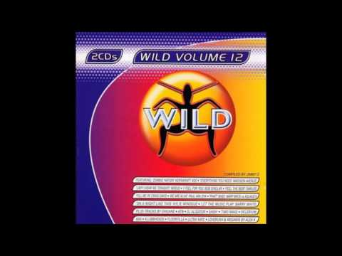 Wild Vol. 12 - Megamix by Alex K