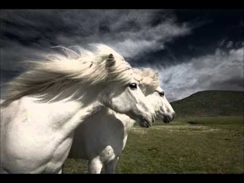 Whisky trail - Piper's maggot, yellow stockings, apples in wine