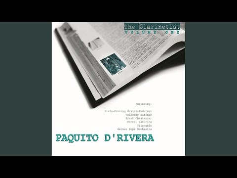 Brussels In The Rain