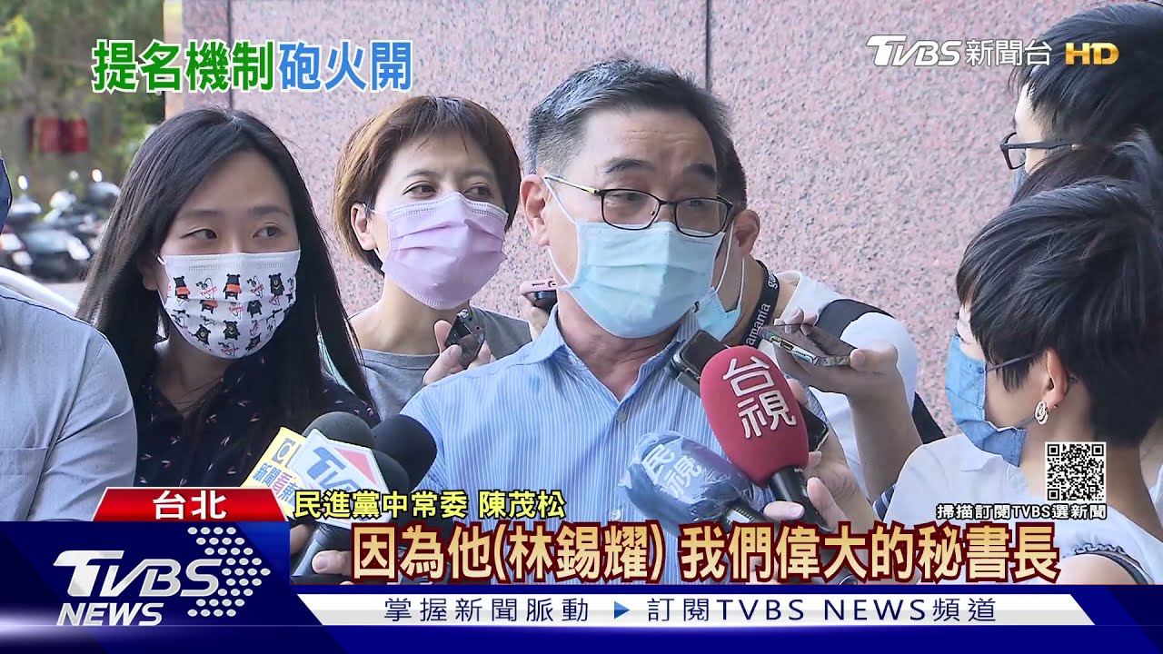 曝林錫耀稱「2022總統親徵召」 綠常委開槓