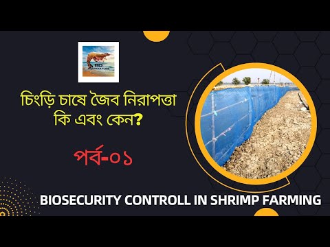 চিংড়ি চাষে জৈব নিরাপত্তা। পর্ব-০১