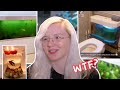 REVIEWING AWFUL PET FISH OWNERS