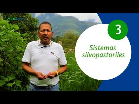 Desarrollo de estrategias integrales sostenibles ganaderas en el municipio de Paime, Cundinamarca.