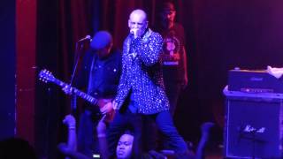 Screeching Weasel - LIVE