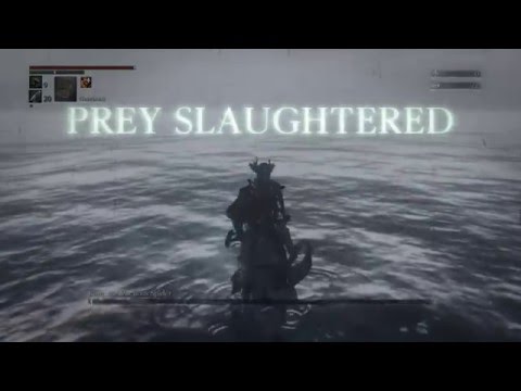 Bloodborne - RIP Rom, The Vacuous Spider