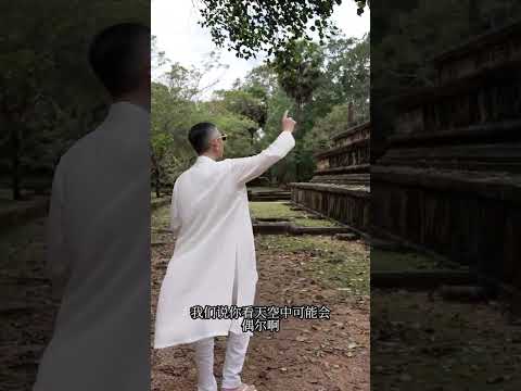 &ldquo;天空中虽留不下鸟儿飞过的痕迹，但那份生命体验后的信息却将永远留存在那里。&rdquo;修行静心