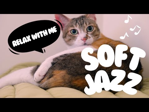 Relax with Bani the Cat! ❤️ Instrumental Jazz Music for Stress Relief, Anxiety and Focusing