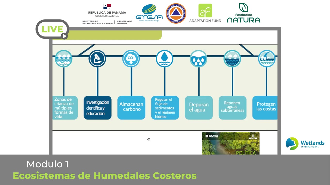 Modulo 1.2 Servicios Ecosistémicos en humedales costeros – Curso Fondo de Adaptación Panamá