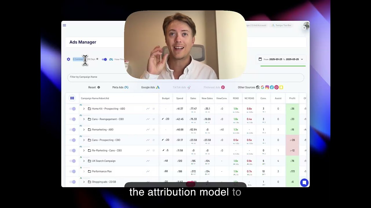 TrueROAS ‑ AI Ad Attribution Demo