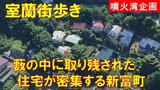 【室蘭街歩き】藪の中に取り残された住宅が密集する新富町1丁目