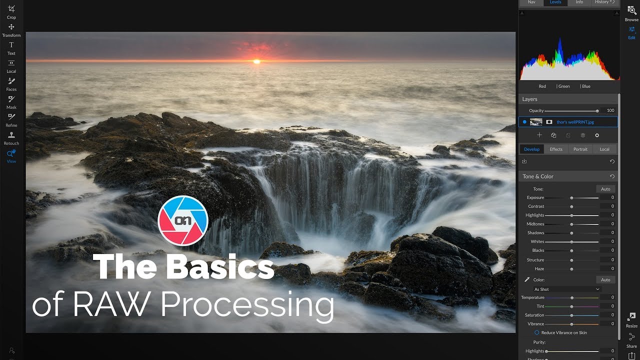 Understanding the Basics of RAW Image Processing