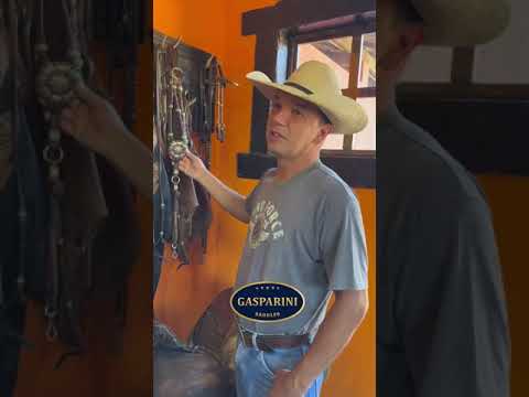 Explorando a Casa do Campeão: Uma Jornada com Leandro Baldissera e Gasparini Saddles | Parte 1