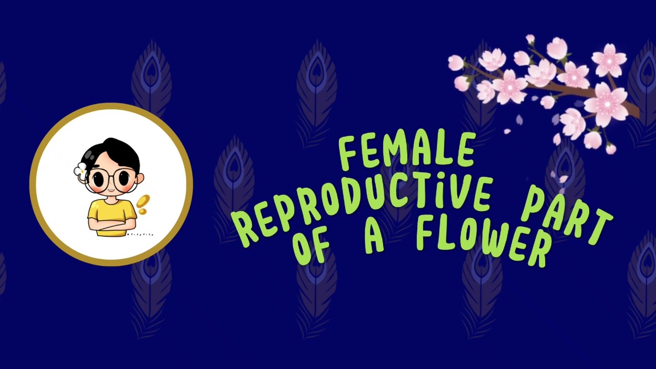 Lesson 16 - Sexual Reproduction