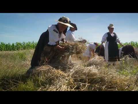 Brâul de la Idicel - Maria Butila & Mihai Moldovan 🎶 NOU 📣Premieră în curând. 🙋‍♀️