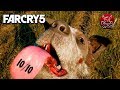 Видеообзор Far Cry 5 от PoleznyiBes