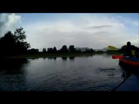 Salicelle 26/08/2018