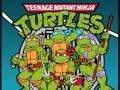 E Kaboom The Wailers Teenage Mutant Ninja Turtles Theme Cover