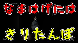 【怨霊】なまはげには俺のきりたんぽで。。。　#3【ONRYO】