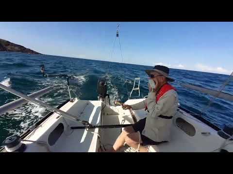 Sonata 6.7 trailer sailer off NSW east coast
