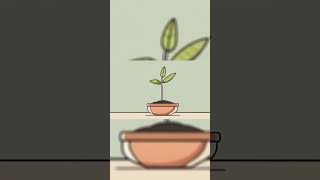 Download lagu Watch other video: https://www.youtube.com/watch?v=dMUrvpE2Ov8 mp3