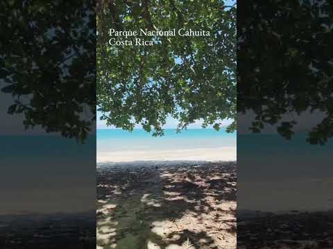 📍 Parque Nacional Cahuita, Limón / Costa Rica 🇨🇷👌
