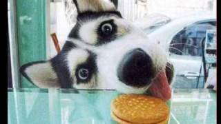 Edguy - Aren&#39;t You A Little Pervert Too?