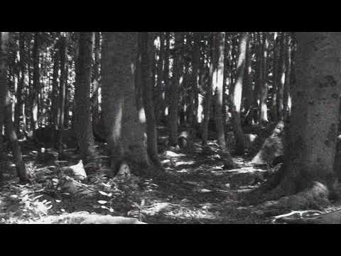 Livsnekad  -  En Fдgrad Kдrlek, En Vissnad Begivenhe