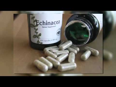 Health Key Report- Myth bust on echinacea