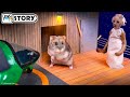 🐹 Hamster Escapes the Granny Maze with Grandpa 🐹 Homura Ham Pets