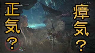 行動パターン忘れたらタコ殴りにされた【MHW#28】