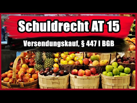 Der Versendungskauf, § 447 I BGB - Schuldrecht AT 15