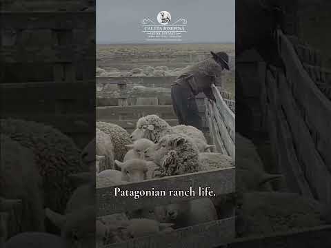 This isn't a show, this is Patagonia.