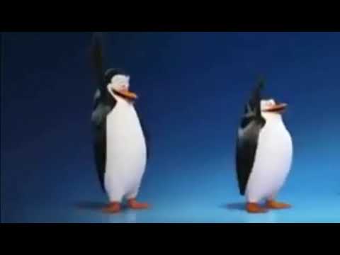 Pinguins de Madagascar dançando ao som de funk do sax