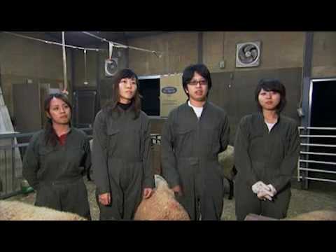 麻布大学 研究室紹介31_動物行動管理学研究室
