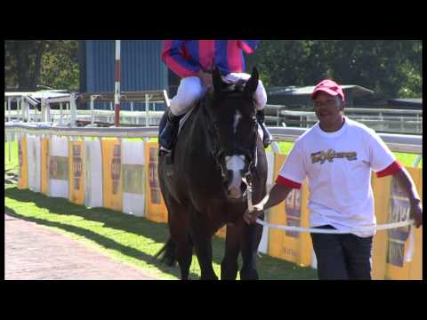 WHAT A WINTER, WHAT A RACEHORSE