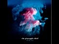 The Pineapple Thief - Build A World + Lyrics 