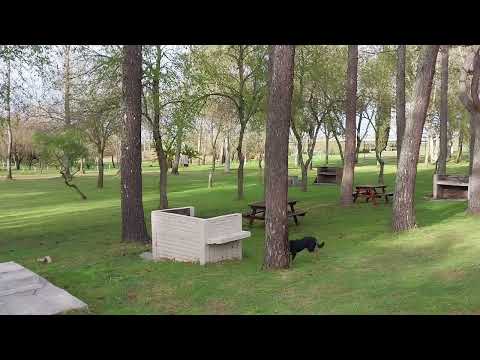 Camping gratis en  balneario  paso de las piedras en ruta 3 kl 291